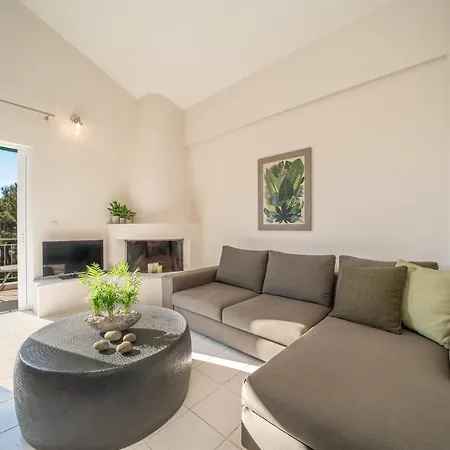 Seashell Luxury - 1 Apartment Lixouri