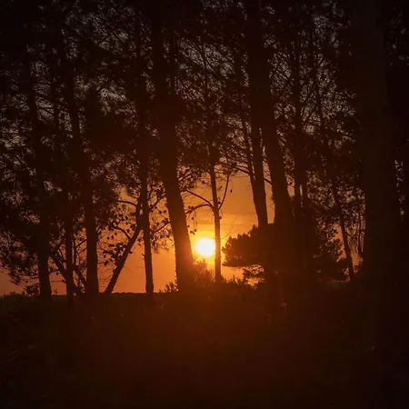 Apartamento Seashell Luxury - 1 *