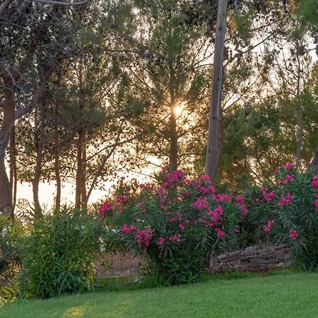 Apartamento Seashell Luxury - 1 Lixouri