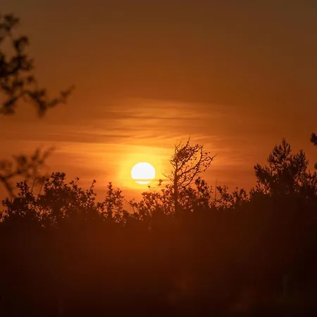 Seashell Luxury - 1 Lixúri